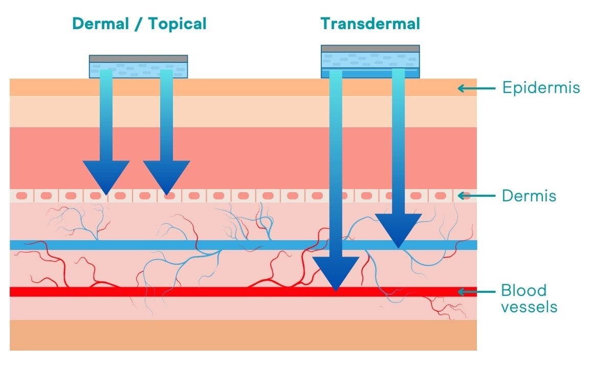 Transdermal patches 